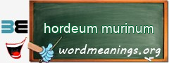 WordMeaning blackboard for hordeum murinum